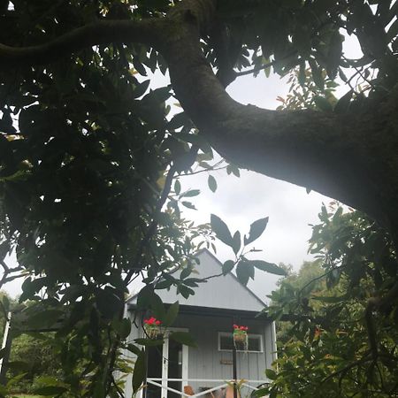 Paradise Grove Whangamata Ngoại thất bức ảnh