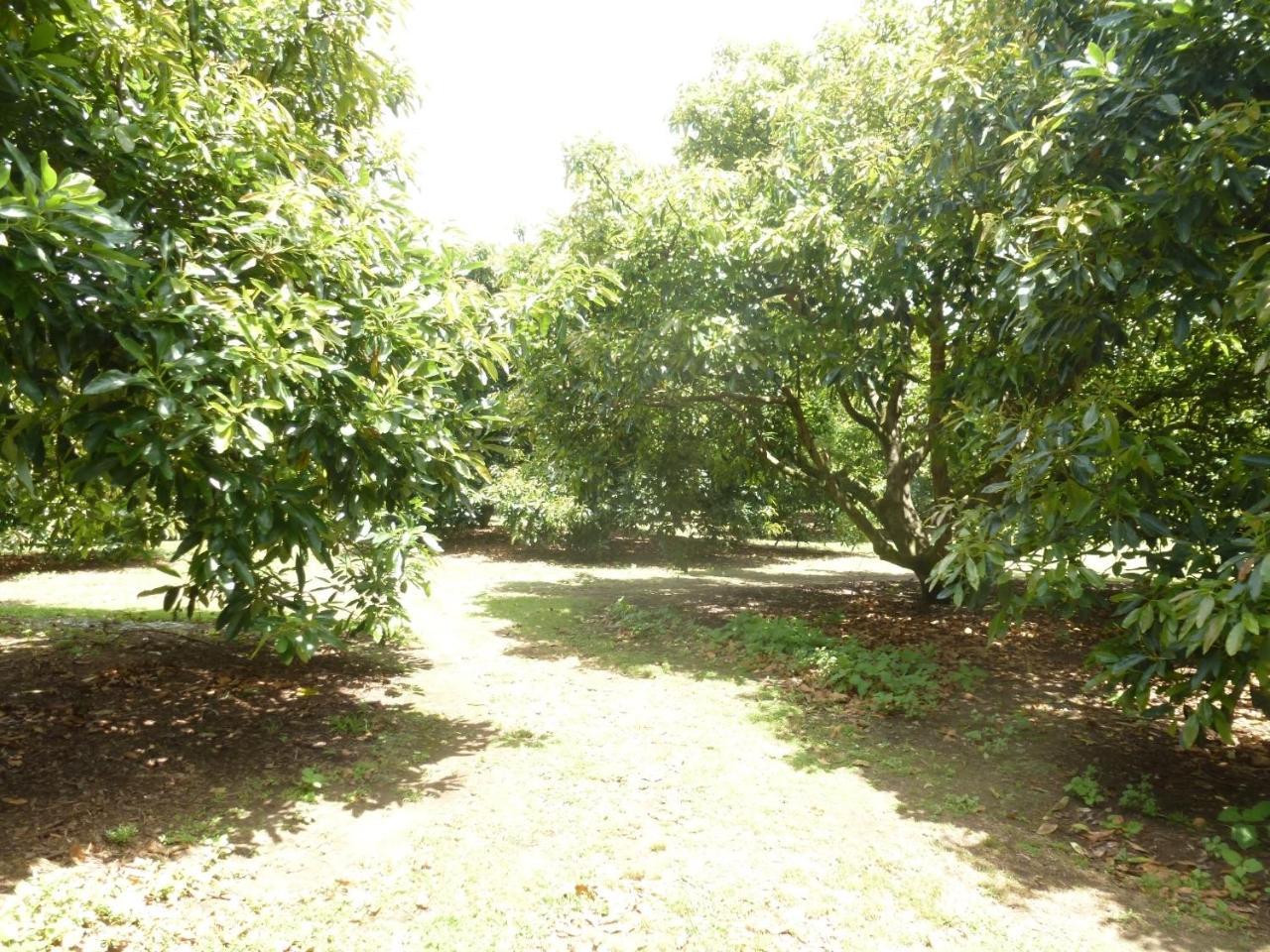 Paradise Grove Whangamata Ngoại thất bức ảnh